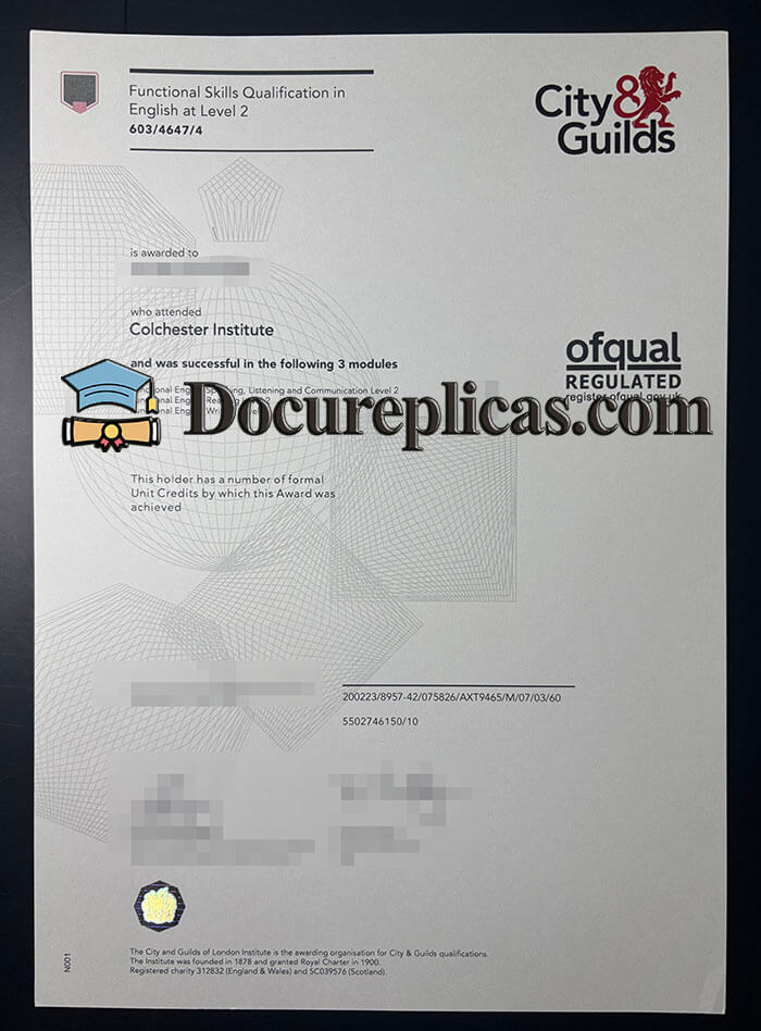purchase realistic City & Guilds Functional Skills Qualification in English at Level 2 certificate