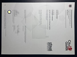 purchase realistic City & Guilds Functional Skills Qualification in English at Level 2 certificate