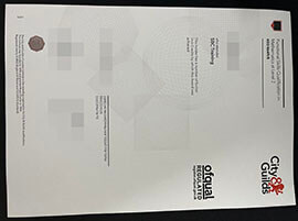 purchase realistic City & Guilds Functional Skills Qualification in Mathematics at Level 2 certificate