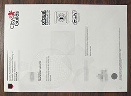 purchase realistic City & Guilds Level 3 Award in Initial certificate