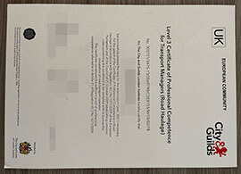 purchase realistic City & Guilds Level 3 Certificate of Professional Competence for Transport Managers