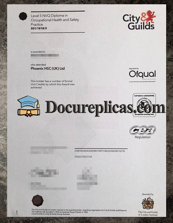 purchase realistic City & Guilds Level 5 NVQ Diploma in Occupational Health and Safety
