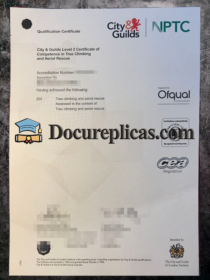 purchase realistic City & Guilds NPTC Qualification Certificate