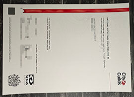 purchase realistic City & Guilds NVQ Level 3 Diploma