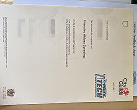 purchase realistic City & Guilds Paint Tech certificate