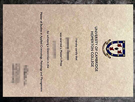 purchase realistic Homerton College Cambridge degree
