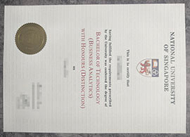 purchase realistic National University of Singapore degree