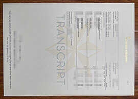 purchase realistic University of Bradford Transcript