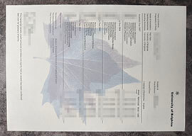 purchase realistic University of Brighton Transcript