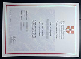 purchase realistic University of Cambridge Local Examinations Syndicate certificate