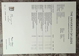 purchase realistic University of Leeds Transcript